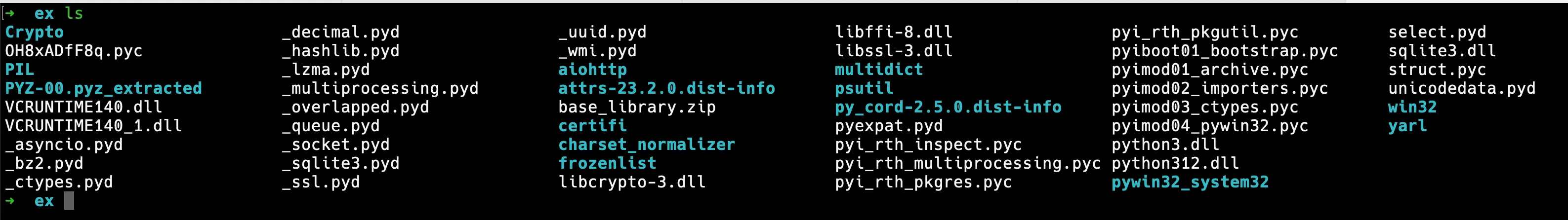 Extracted files from llm-oracle payload