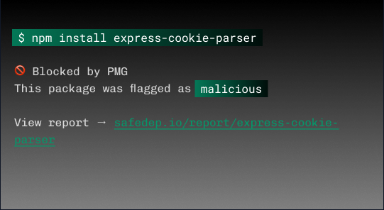 SafeDep PMG CLI interface